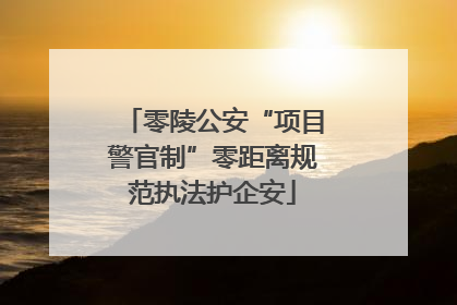 零陵公安“项目警官制”零距离规范执法护企安