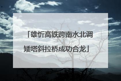 雄忻高铁跨南水北调矮塔斜拉桥成功合龙