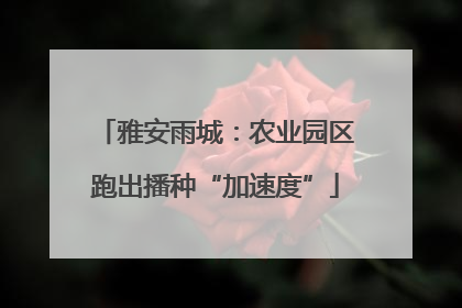 雅安雨城：农业园区跑出播种“加速度”