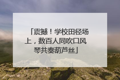 震撼！学校田径场上，数百人同吹口风琴共奏葫芦丝