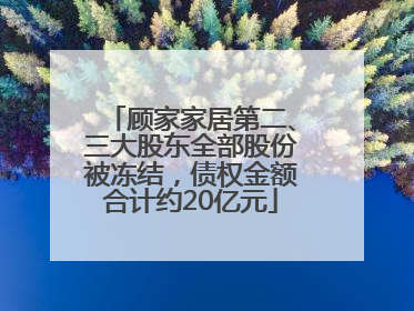 顾家家居第二、三大股东全部股份被冻结，债权金额合计约20亿元