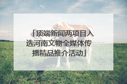 顶端新闻两项目入选河南文物全媒体传播精品推介活动