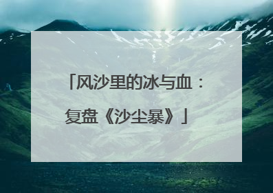 风沙里的冰与血：复盘《沙尘暴》