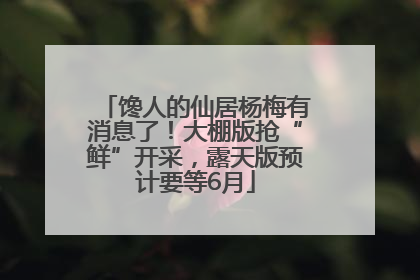 馋人的仙居杨梅有消息了！大棚版抢“鲜”开采，露天版预计要等6月
