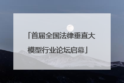首届全国法律垂直大模型行业论坛启幕