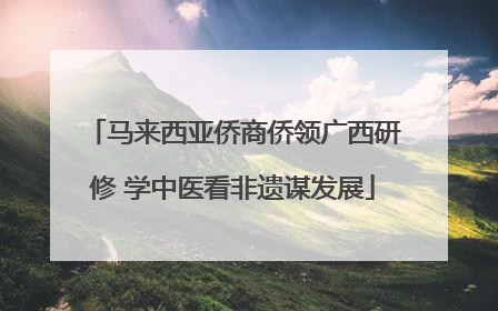 马来西亚侨商侨领广西研修 学中医看非遗谋发展