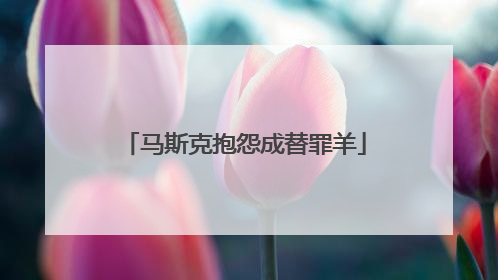 马斯克抱怨成替罪羊