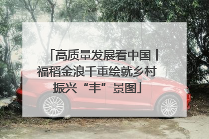 高质量发展看中国丨福稻金浪千重绘就乡村振兴“丰”景图