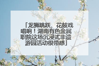 龙狮跳跃、花鼓戏唱响！湖南有色金属职院这场沉浸式非遗游园活动很带感