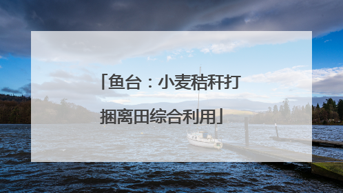 鱼台：小麦秸秆打捆离田综合利用