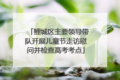 鲤城区主要领导带队开展儿童节走访慰问并检查高考考点