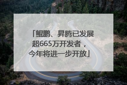 鲲鹏、昇腾已发展超665万开发者，今年将进一步开放