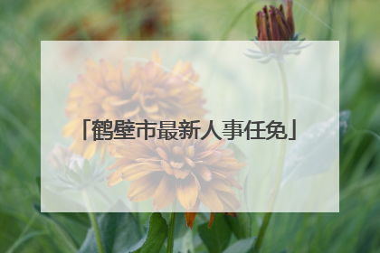 鹤壁市最新人事任免