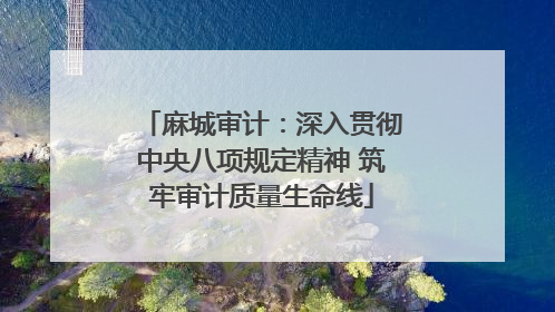 麻城审计：深入贯彻中央八项规定精神 筑牢审计质量生命线