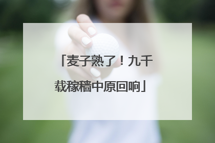 麦子熟了！九千载稼穑中原回响