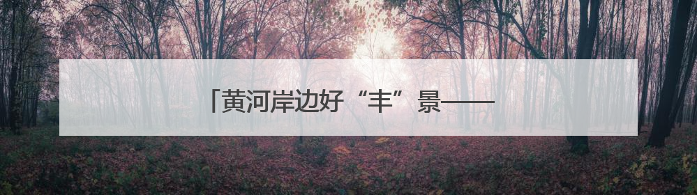 黄河岸边好“丰”景——合阳县特色农业养成记