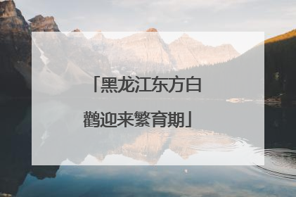 黑龙江东方白鹳迎来繁育期