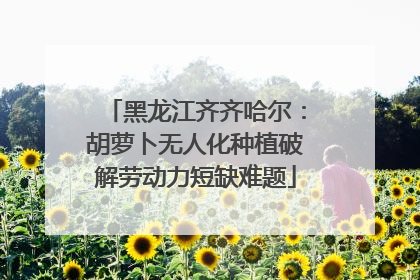 黑龙江齐齐哈尔：胡萝卜无人化种植破解劳动力短缺难题
