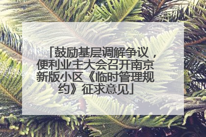 鼓励基层调解争议，便利业主大会召开南京新版小区《临时管理规约》征求意见