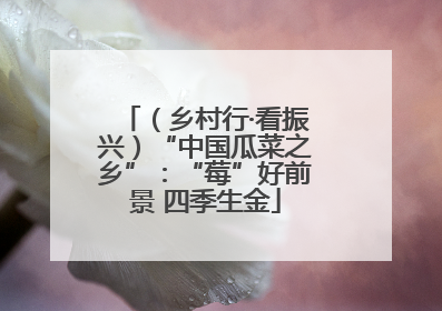 （乡村行·看振兴）“中国瓜菜之乡”：“莓”好前景 四季生金