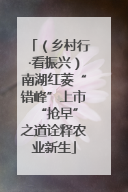 （乡村行·看振兴）南湖红菱“错峰”上市 “抢早”之道诠释农业新生