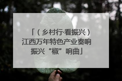 （乡村行·看振兴）江西万年特色产业奏响振兴“椒”响曲