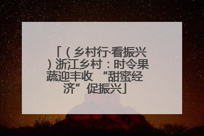 （乡村行·看振兴）浙江乡村：时令果蔬迎丰收 “甜蜜经济”促振兴