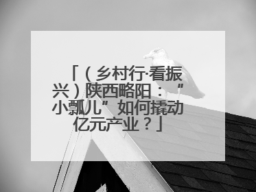 （乡村行·看振兴）陕西略阳：“小瓢儿”如何撬动亿元产业？