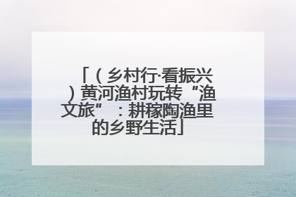 （乡村行·看振兴）黄河渔村玩转“渔文旅”：耕稼陶渔里的乡野生活