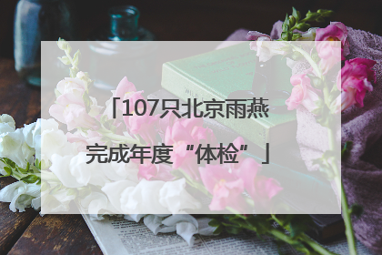 107只北京雨燕完成年度“体检”