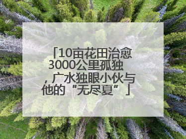 10亩花田治愈3000公里孤独，广水独眼小伙与他的“无尽夏”