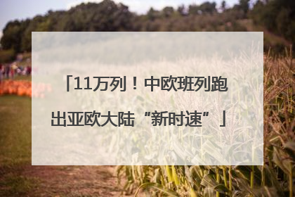 11万列！中欧班列跑出亚欧大陆“新时速”