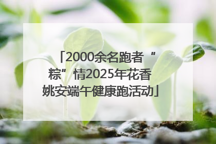 2000余名跑者“粽”情2025年花香姚安端午健康跑活动