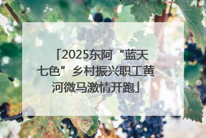 2025东阿“蓝天七色”乡村振兴职工黄河微马激情开跑