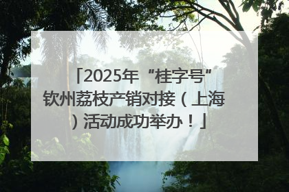 2025年“桂字号”钦州荔枝产销对接（上海）活动成功举办！