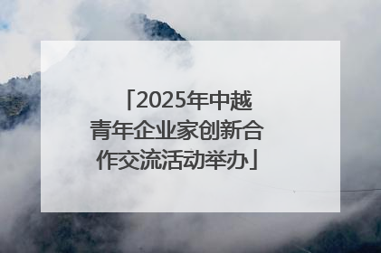 2025年中越青年企业家创新合作交流活动举办