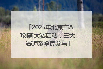 2025年北京市AI创新大赛启动，三大赛道邀全民参与