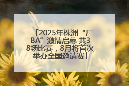 2025年株洲“厂BA”激情启幕 共38场比赛，8月将首次举办全国邀请赛