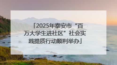 2025年泰安市“百万大学生进社区”社会实践提质行动顺利举办