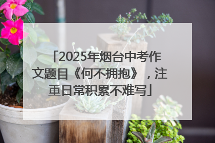 2025年烟台中考作文题目《何不拥抱》，注重日常积累不难写