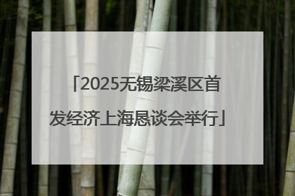 2025无锡梁溪区首发经济上海恳谈会举行