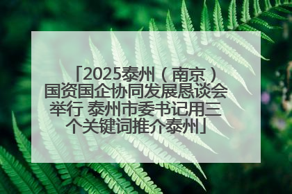 2025泰州（南京）国资国企协同发展恳谈会举行 泰州市委书记用三个关键词推介泰州