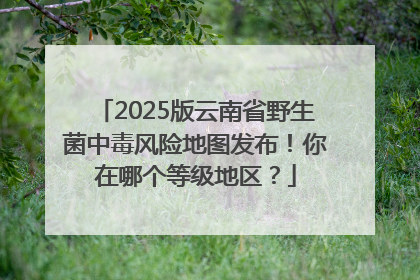 2025版云南省野生菌中毒风险地图发布！你在哪个等级地区？