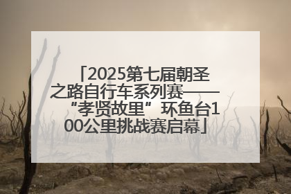 2025第七届朝圣之路自行车系列赛——“孝贤故里”环鱼台100公里挑战赛启幕