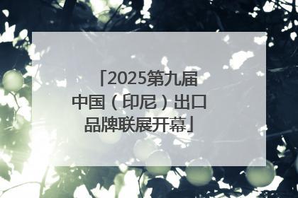 2025第九届中国（印尼）出口品牌联展开幕