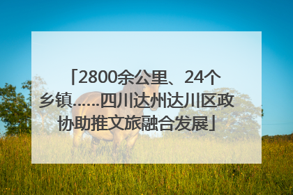 2800余公里、24个乡镇……四川达州达川区政协助推文旅融合发展