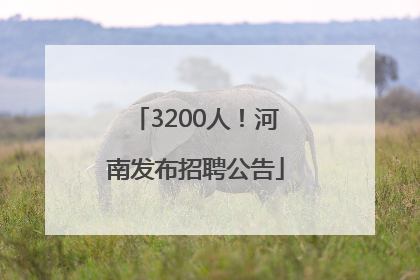 3200人！河南发布招聘公告