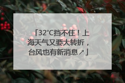 32℃挡不住！上海天气又要大转折，台风也有新消息↗