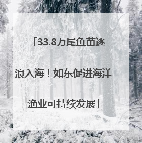 33.8万尾鱼苗逐浪入海！如东促进海洋渔业可持续发展