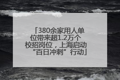 380余家用人单位带来超1.2万个校招岗位，上海启动“百日冲刺”行动